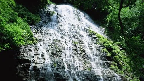 智能数字化